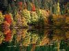 foliage-in-val-di-non-dove-andare-nei-boschi-delle-dolomiti-del-brenta