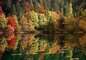 foliage-in-val-di-non-dove-andare-nei-boschi-delle-dolomiti-del-brenta