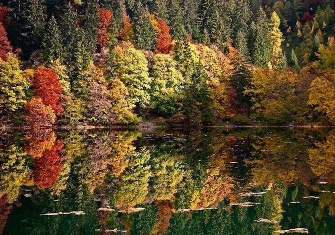 foliage-in-val-di-non-dove-andare-nei-boschi-delle-dolomiti-del-brenta