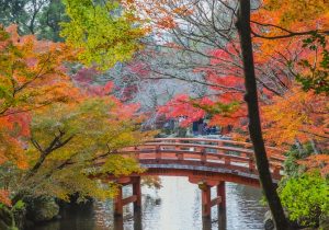 i-5-posti-piu-belli-dove-andare-a-vedere-il-foliage-autunnale