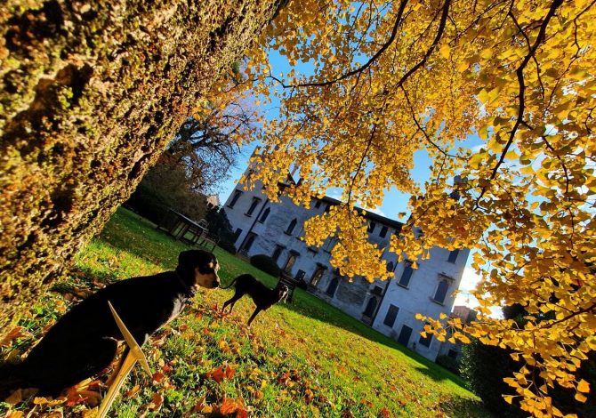 I luoghi del foliage: le Dimore Storiche del Veneto