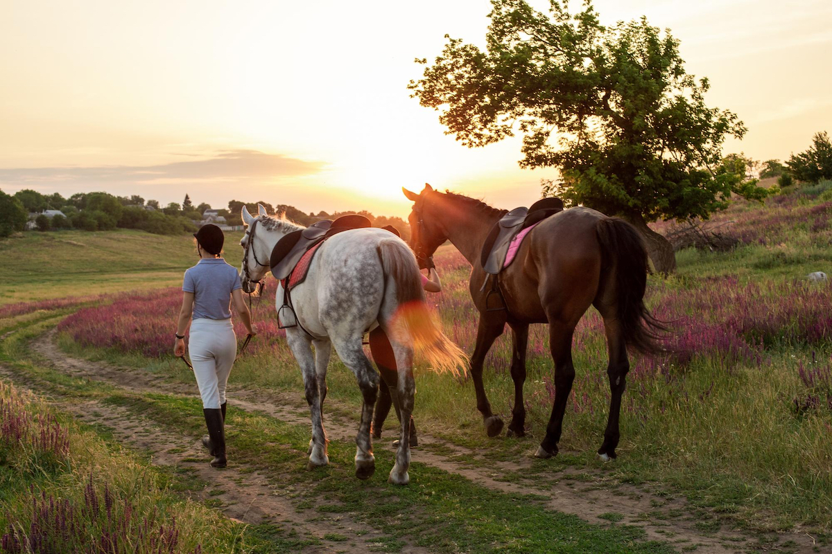 lombardia-passeggiate-a-cavallo