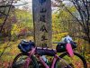 bici-e-fliage-sulla-old-nakasendo-road-in-giappone