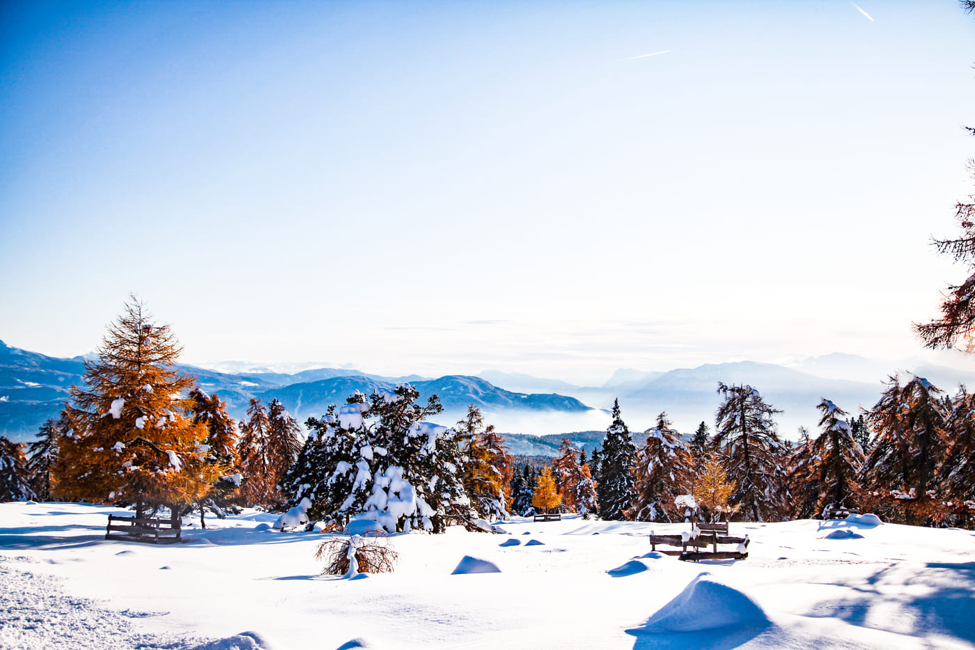 All'Altopiano del Renon l'atmosfera del Natale tra mercatini, neve e gourmet