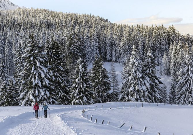 Lana in Alto Adige: l'inverno magico della natura di Monte San Vigilio