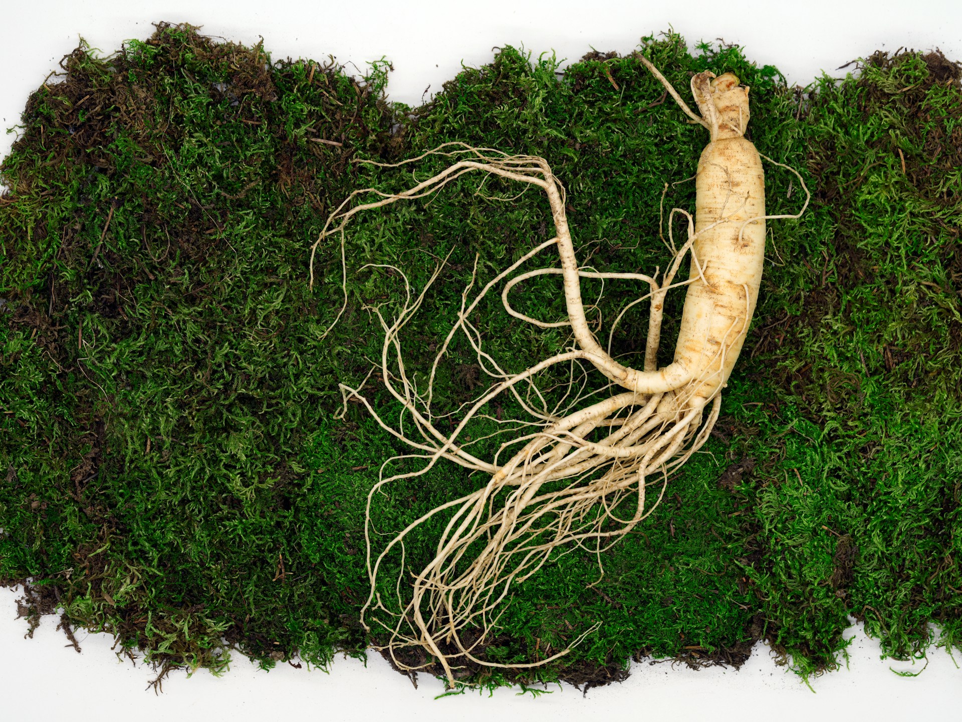 Ginseng e sport: l'energizzante naturale