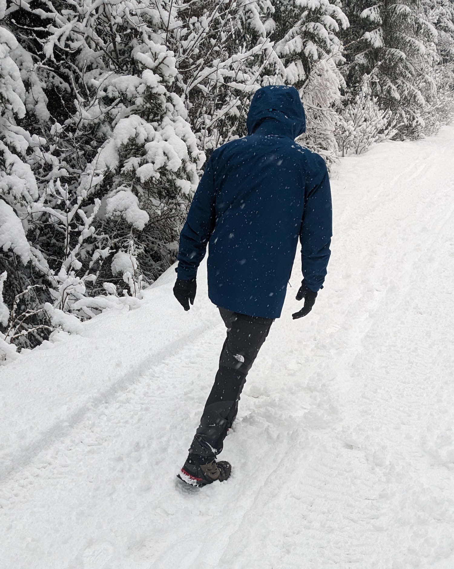 pantaloni-trekking-north-face