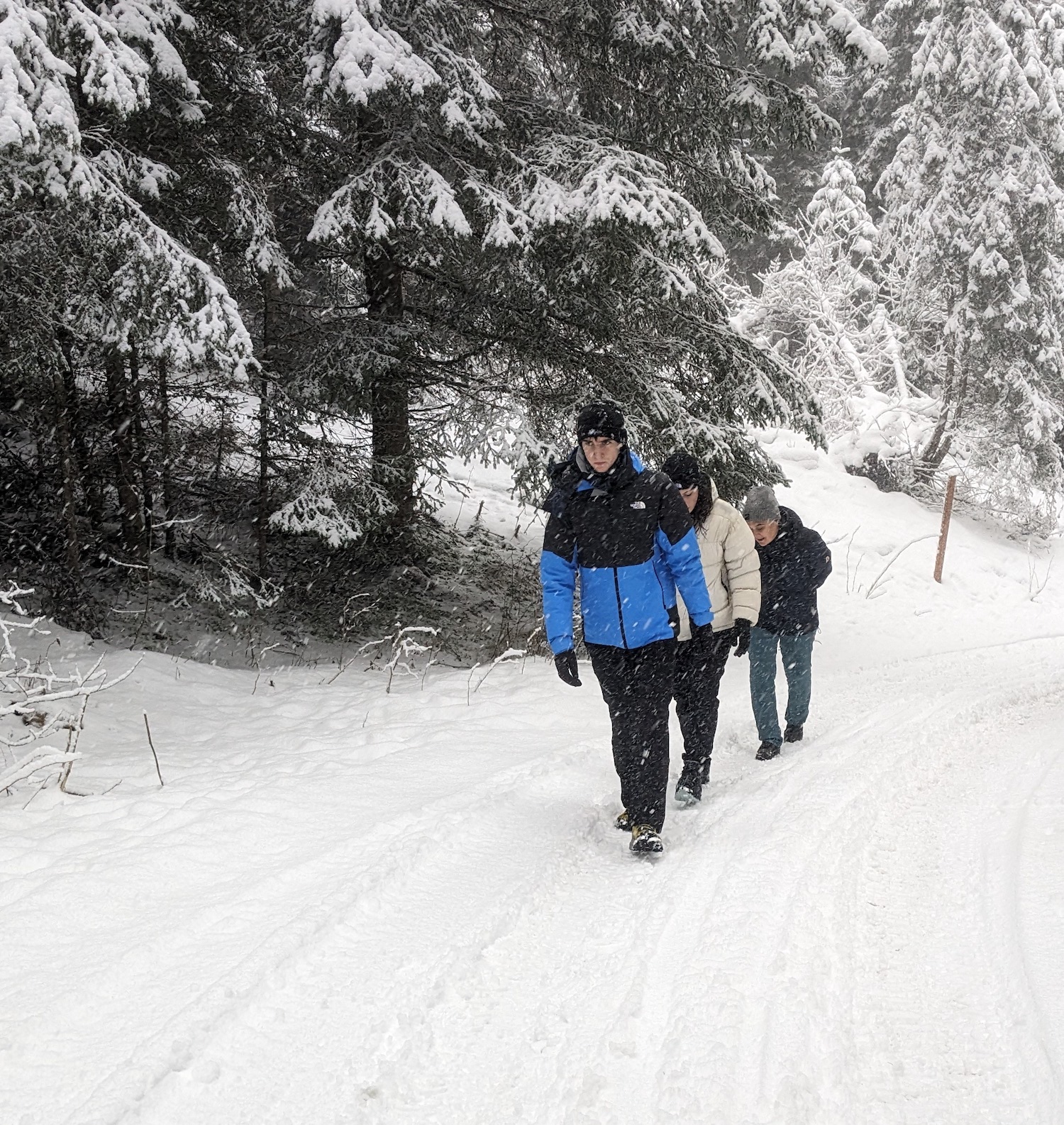 passeggiata-val-san-nicolo