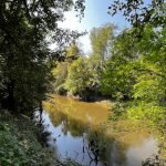 Le rive del fiume Lambro