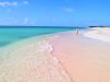 la-spiaggia-di-pink-sand-a-cedar-tree-point