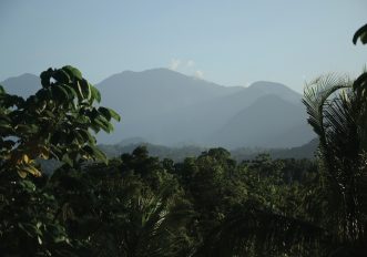 Blue Mountains, il posto più bello e nascosto della Giamaica da esplorare a piedi, foto
