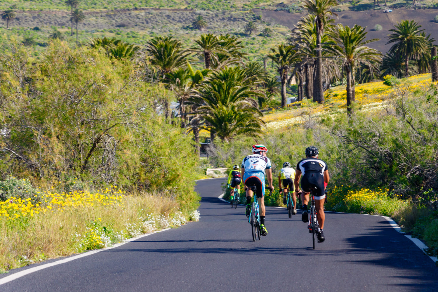 Isole Canarie in bici in 8 giorni: la 8 Islands Cycling Challenge