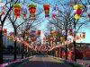 i-festoni-per-il-capodanno-cinese-ph-lucilla-righi