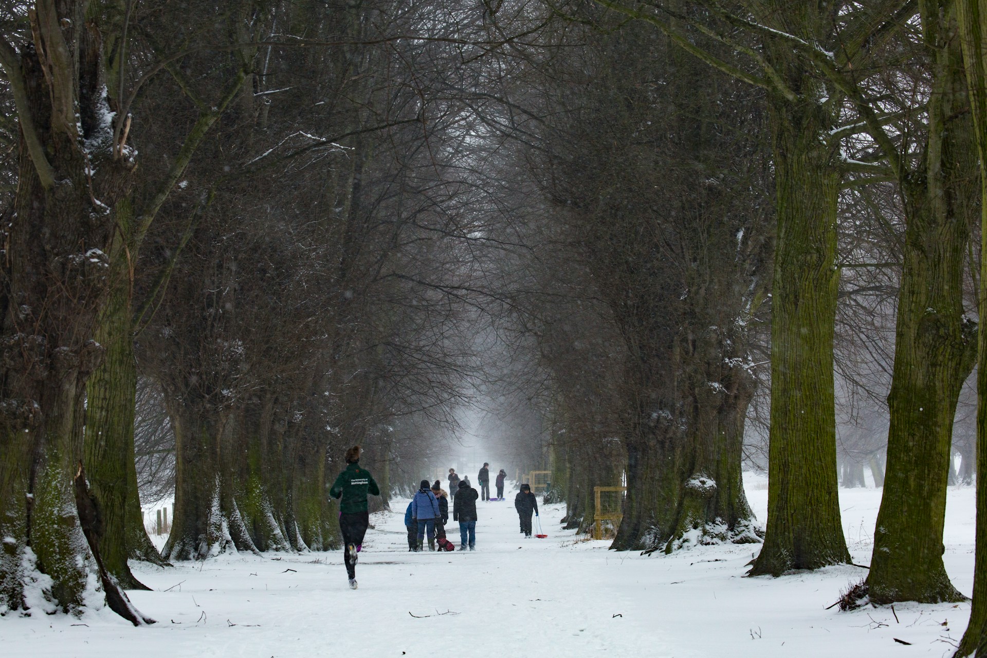 Correre con la neve: tutto quello che devi sapere