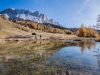 i-panorami-alpini-sui-sentieri