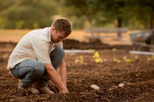 Giardinaggio: perché dovresti cominciare subito a farlo