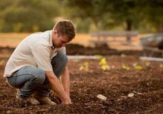 Giardinaggio: perché dovresti cominciare subito a farlo