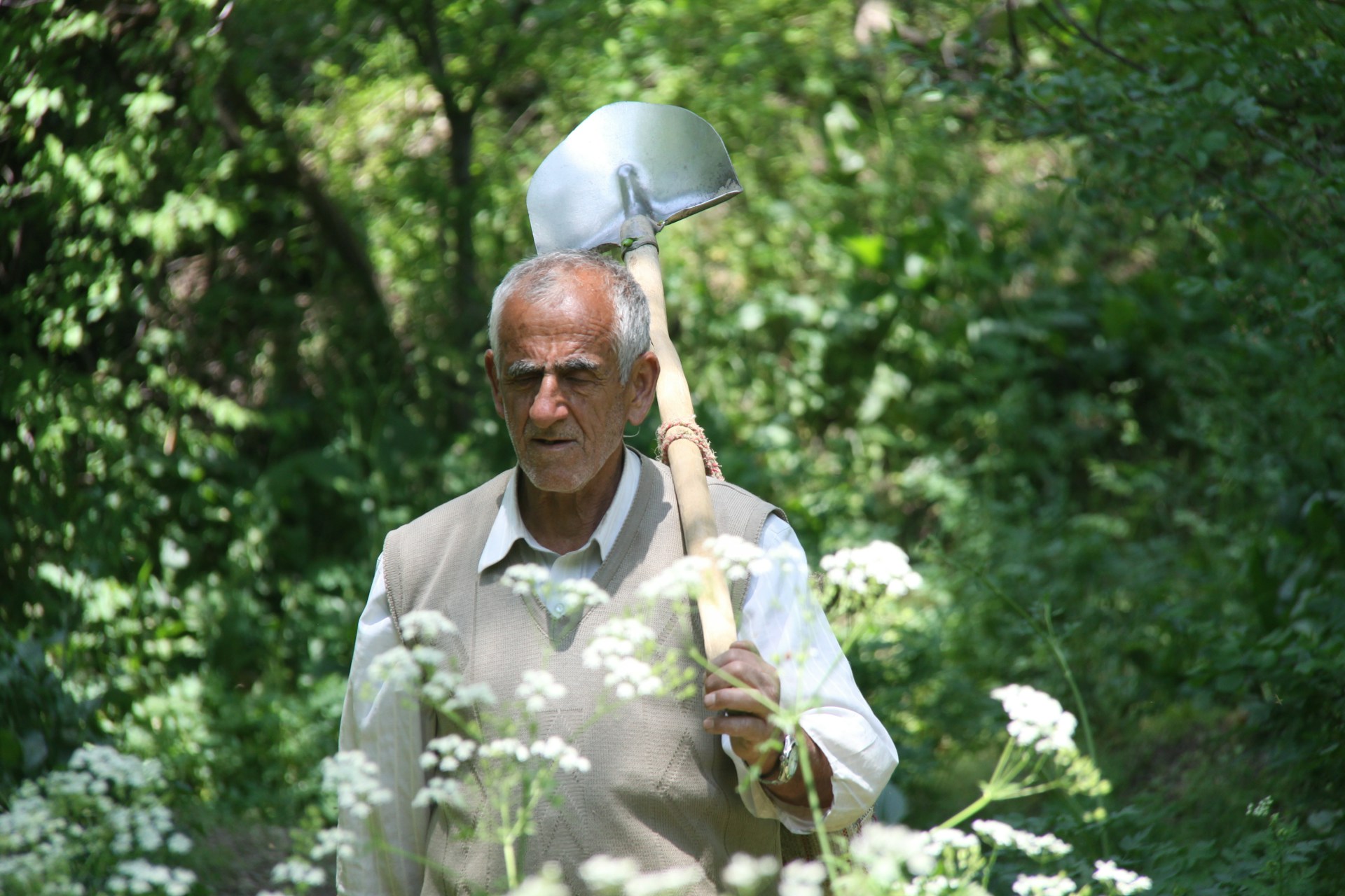 Giardinaggio: perché dovresti cominciare subito a farlo