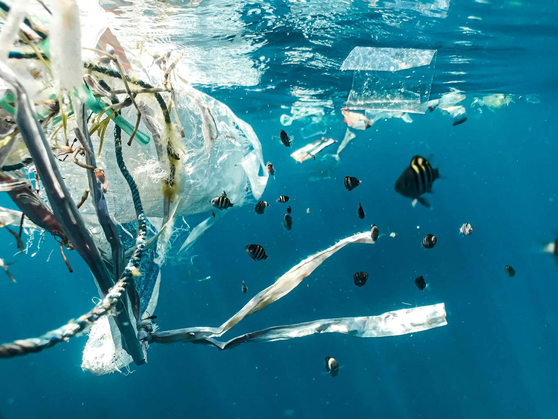 Microplastiche: come evitare il contatto