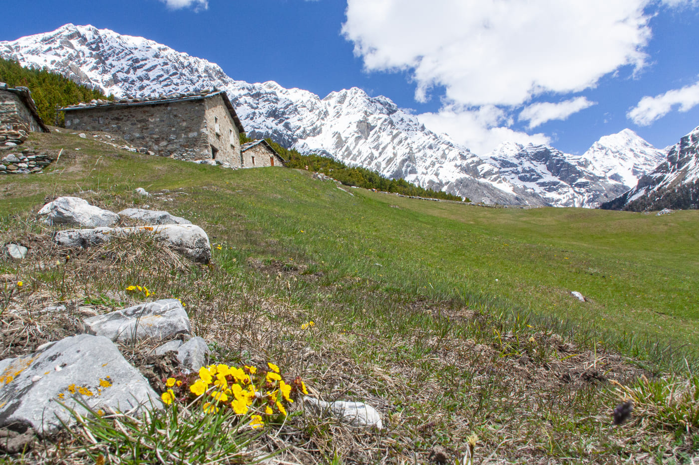 3 escursioni a Bormio da scoprire questa Primavera