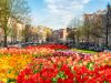 amsterdam-e-la-magia-dei-tulipani-una-delle-capitali-incantate-che-in-primavera-si-ammanta-ancor-pi-di-magia-amsterdam-capace-di-stregare-abitanti-e-turisti-con-i-suoi-canali-le-sue-vie-percorse-da-decine-di-biciclette-e-imperdibili-nella-stagione-della-rinascita-i-suoi-tulipani-si-possono-trovare-ai-balconi-delle-case-nelle-piazze-ma-anche-in-uno-degli-angoli-pi-variopinti-e-profumati-della-citt-il-mercato-dei-fiori-galleggiante-bloemenmarkt-dove-i-fiori-vengono-venduti-su-centinaia-di-bancarelle-chiatte-galleggianti-tappa-imperdibile-alla-scoperta-dei-dintorni-di-amsterdam-il-parco-keukenhof-noto-anche-come-giardino-deuropa-uno-dei-pi-bei-giardini-in-fiore-del-mondo-ogni-anno-vengono-piantati-circa-7-milioni-di-bulbi-da-fiore-su-32-ettari-di-terreno-per-un-risultato-finale-che-una-vera-sinfonia-per-gli-occhi-e-per-il-cuore