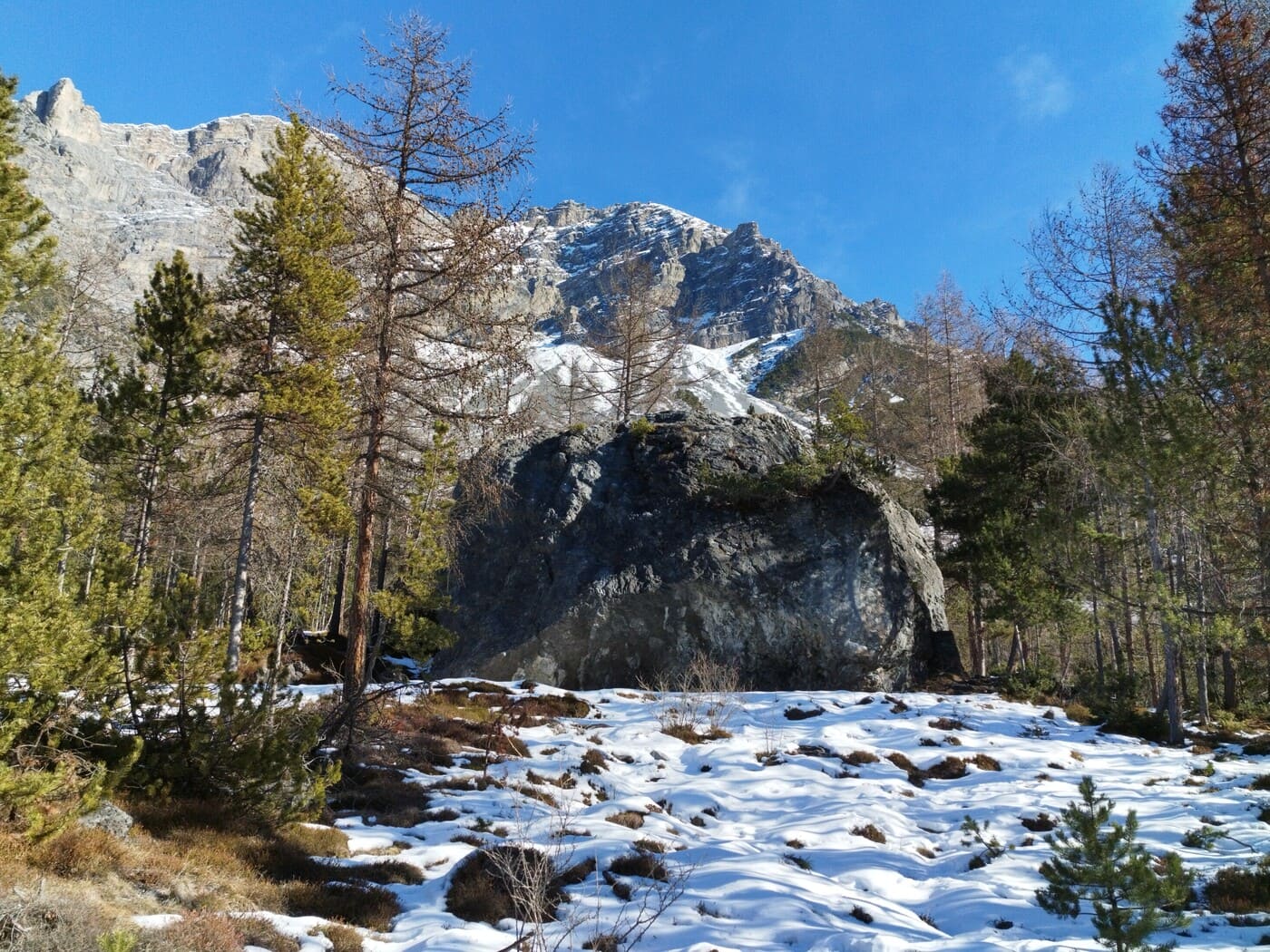 www.bormio.eu