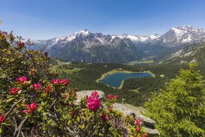 itinerari-alpeggi-valtellina