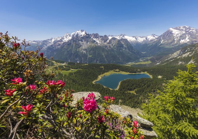 itinerari-alpeggi-valtellina