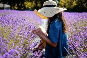 5 mete per gli amanti dei fiori da scoprire in Primavera