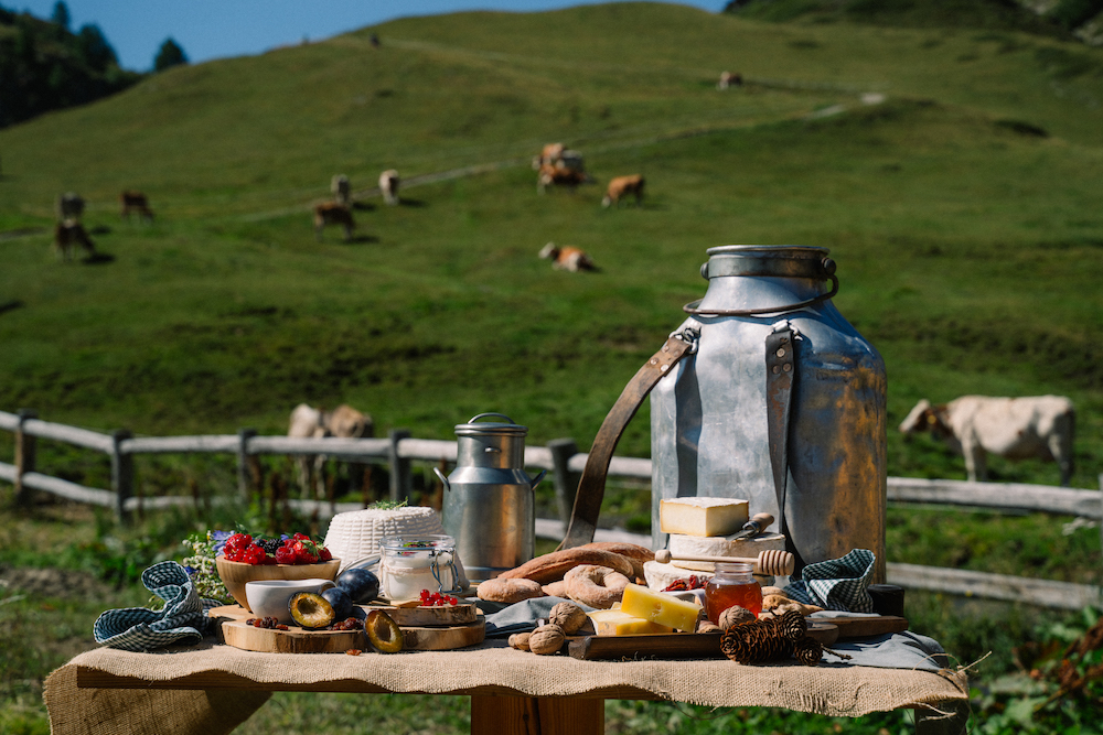 5 itinerari negli alpeggi della valtellina, tra montagna e gastronomia