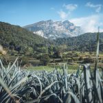 Val di Gresta, l’orto biologico del Garda Trentino