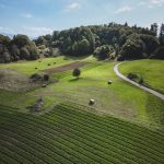 Val di Gresta, l’orto biologico del Garda Trentino