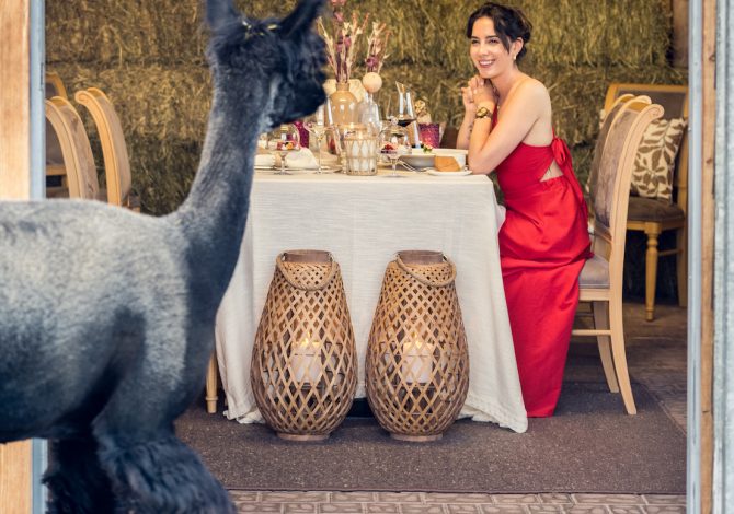 cena-lama
