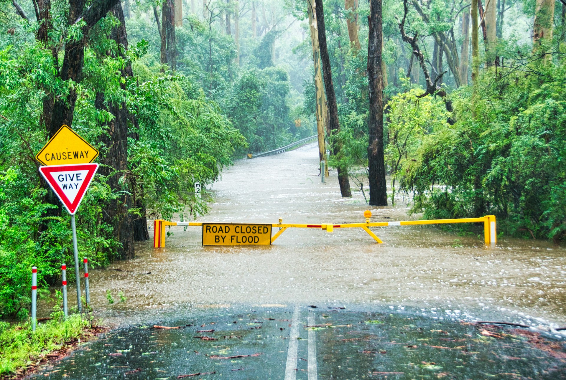 Cosa fare durante un'alluvione?