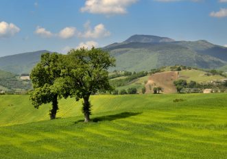Nuovi itinerari cicloturistici: la Strada del Miele di Macerata