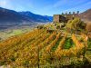 castel-grumello-e-i-vigneti-in-autunno