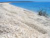 conchiglie-shell-beach-australia-occidentale-una-spiaggia-interamente-fatta-di-conchiglie-bianche-e-piccole