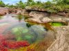 cano-cristales-il-fiume-arcobaleno-colombia