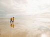 a-spasso-nel-mare-di-wadden-gntbjulianimke