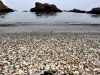 glass-beach-california-usa-un-tempo-qui-cera-una-discarica-col-passare-del-tempo-il-mare-ha-frantumato-e-levigato-bottiglie-e-oggetti-in-vetro-restituendoli-sotto-forma-di-sassolini-colorati