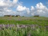 i-percorsi-naturalistici-di-groden-gtmbmonikamommsen
