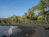 punaluu-black-sand-beach-hawaii-abbia-completamente-nera-lava-polverizzata-che-si-raffreddata-a-contatto-con-loceano