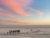 panorami-magici-sul-mare-di-wadden