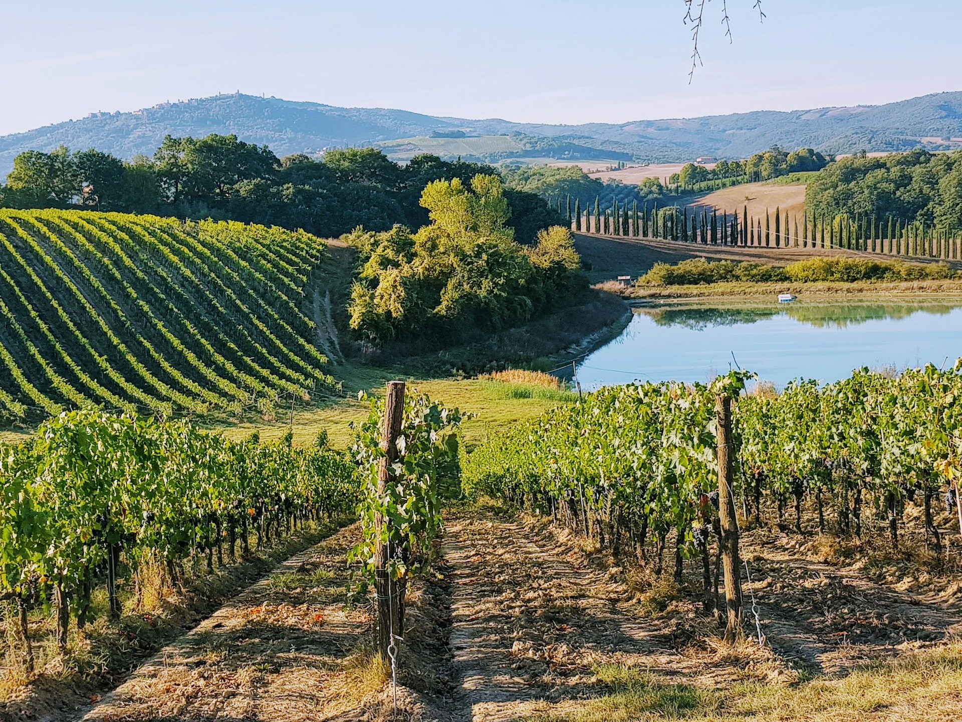 Le 5 Migliori Escursioni Primaverili in Toscana