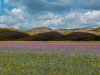 castelluccio