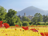 cripta-della-basilica-di-san-benedetto-di-norcia