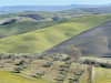serre-di-rapolano-sinalunga