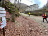 nei-boschi-del-monte-fumaiolo-eremo-di-santalberico-e-sorgente-del-tevere1