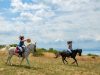sport-equestri
