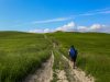 via-lauretana-toscana-crete-senesi-siena-foto-benedetta-perissi